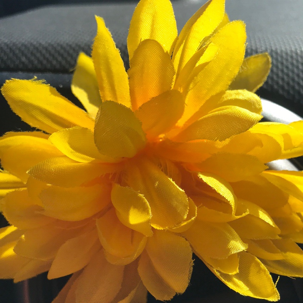 Meet your Posher, Alex